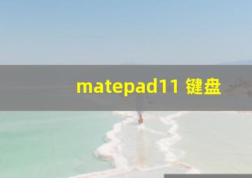 matepad11 键盘